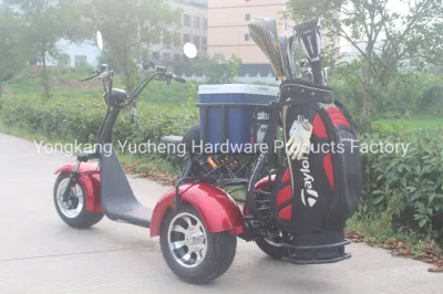 OEM hecho personalizado eléctrico carrito de golf Scooter Mini carrito de golf