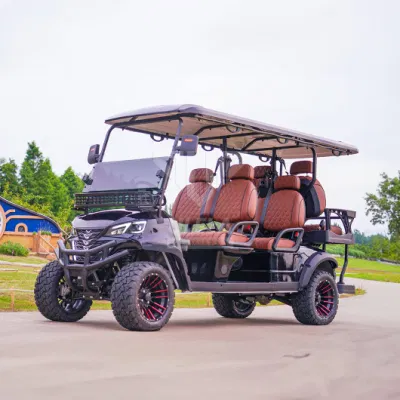Ulela Golf Cart Makers Stepless Speed Change Gas Golf Carts 4-6-8 seater China 6 seater seis seater carrito de golf para Venta