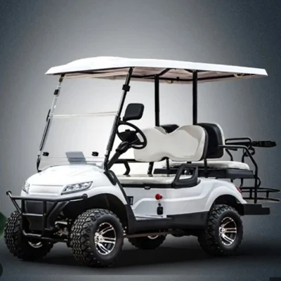 Club Car Evolution Gas gasolina Bolsas eléctrico 4 plazas Golf Carro