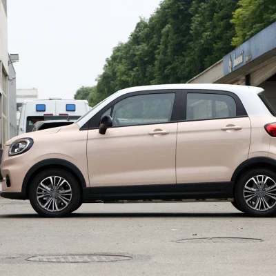 EV vendedor superior mejor primera gama de vehículos eléctricos 5 asientos de seguridad de alta velocidad con un buen coche