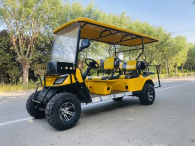Carrito de Golf eléctrico de 6 8 10 asientos con espacio de almacenamiento