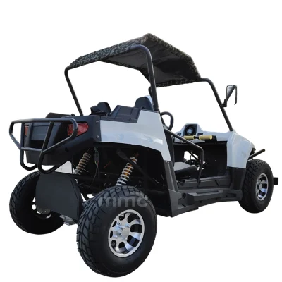 MMC batería de litio todo terreno eléctrico UTV Go-Kart coche turístico con Caja de carga