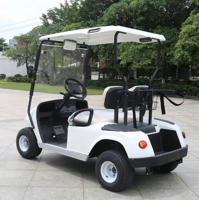 Eléctrico fuera de carretera 48V carrito de golf Buggy