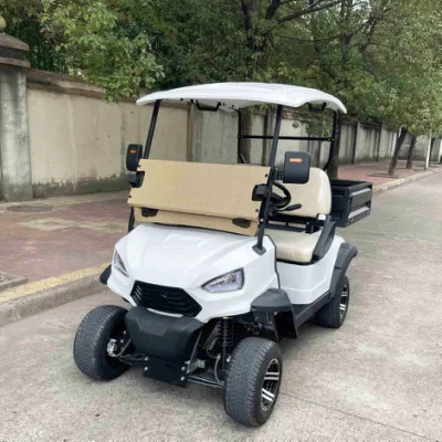 Mejor venta de kart eléctrico, primera Marca OEM Club Carro de Golf con caja Precio asequible