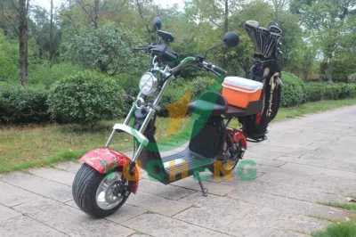 Brillante chino 48V bajo Precio eléctrico 2 Seat Star Used Customized Solar Panel Golf Cart Precio Venta Electric Golf Buggy