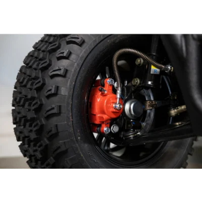 48V 4kw sistema de batería alimentado por cuatro pasajeros Buggy Car Precio Carro de Golf de Caza Eléctrica
