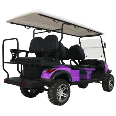 Carrito de Golf tienen artículos listos 4 Wheel Cheap Drive Golf Carro para la venta