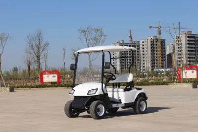 Eléctrico fuera de carretera 48V carrito de golf Buggy