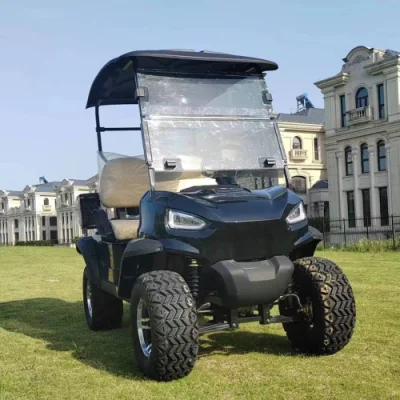 Nueva fábrica de diseño Direct 2 asientos levantado carrito de golf Caza Eléctrica Cochecitos LSV con CE DOT