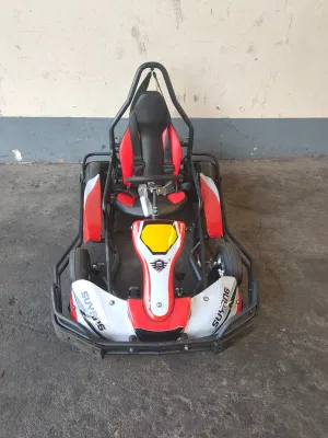 La mejor calidad de 2000W Mini kart pedal eléctrico adulto Mini kart para la venta