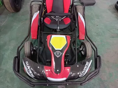 La mejor calidad de 2000W Mini kart pedal eléctrico adulto Mini kart para la venta