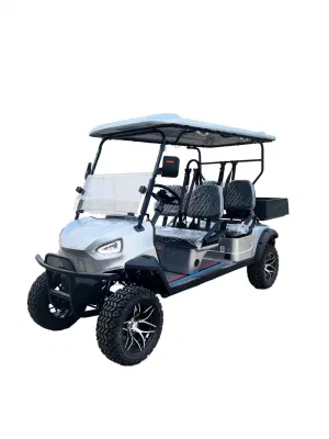 Carro de buggy de golf eléctrico Custom 2 Seat Mini On Road Con panel de control de pantalla grande