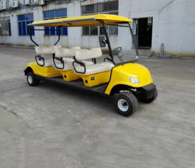 Venta Directa de Fábrica Ce Colores personalizados coches turísticos vehículo Golf