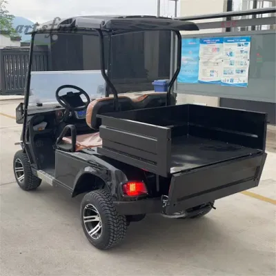 2 asientos vehículos utilitarios con cama cargo Long cargo Bed Utilidad eléctrica fuera de la carretera camión Golf Cart
