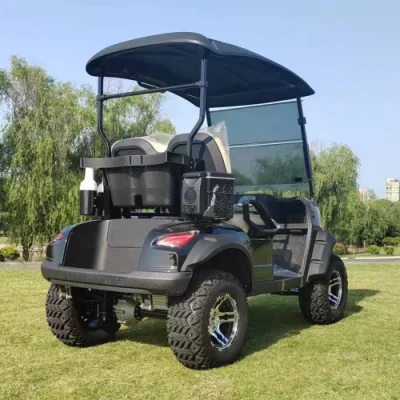 Nueva fábrica de diseño Direct 2 asientos levantado carrito de golf Caza Eléctrica Cochecitos LSV con CE DOT