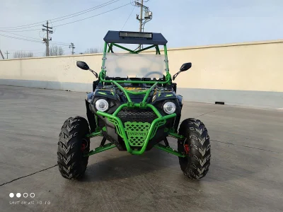 Cee EPA 400cc 500cc 4X4 ATV UTV Quad Buggy Utilitario