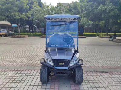 Buen servicio de exportación de embalaje 3-4 China Gas Best Electric Carts Carrito de Golf