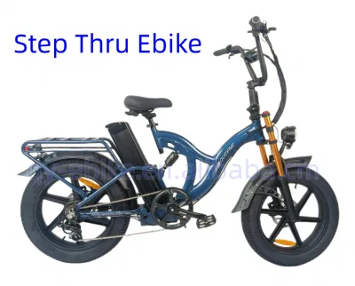 Fabricante de bicicletas E Jinhua personalizada nueva grasa eléctrico del motor del vehículo eléctrico bicicletas