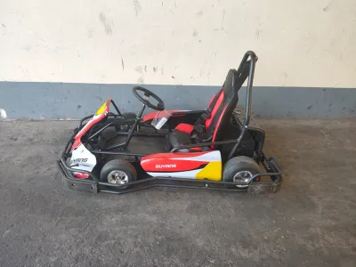 La mejor calidad de 2000W Mini kart pedal eléctrico adulto Mini kart para la venta