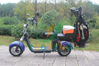 Brillante chino 48V bajo Precio eléctrico 2 Seat Star Used Customized Solar Panel Golf Cart Precio Venta Electric Golf Buggy