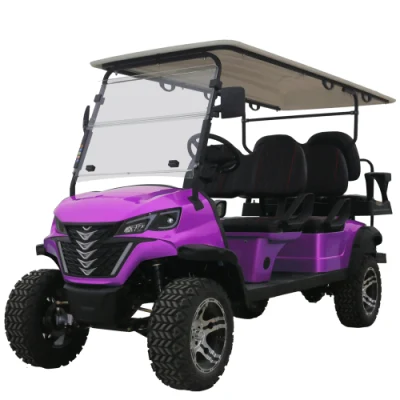 Carrito de Golf tienen artículos listos 4 Wheel Cheap Drive Golf Carro para la venta