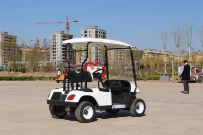 Eléctrico fuera de carretera 48V carrito de golf Buggy