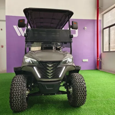 2023 New Design Street Legal Elevado eléctrico 2+2 seater Golf Carro