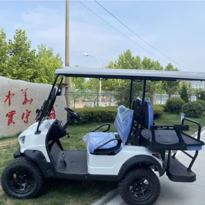 4+4 Road off Wheels cerrado Lithium Golf Cart han Ready Mercancías 6 plazas carrito de golf