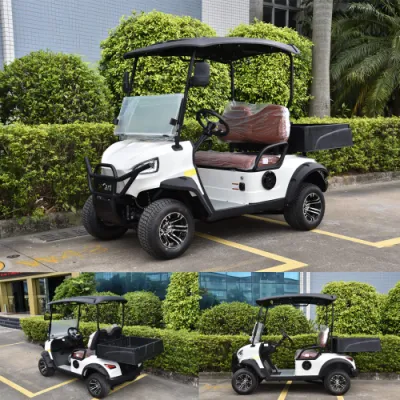 Electric Go Kart IP66 Standard Waterproof Golf Cart Precio mayorista