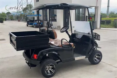 2 asientos vehículos utilitarios con cama cargo Long cargo Bed Utilidad eléctrica fuera de la carretera camión Golf Cart