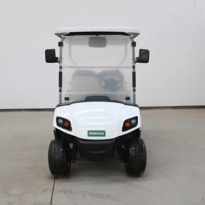 Fabricante China High Quality 4 Wheels Electric Golf Cart con Almacenamiento grande