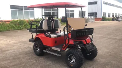 Suspensión independiente aluminio bastidor pedal de aluminio Carro de Golf eléctrico con Medidor profesional