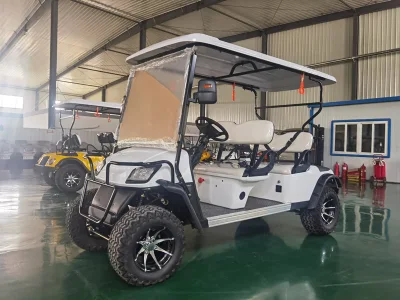 Con 60V Batería Electric Beach Buggy carro de golf eléctrico utilitario