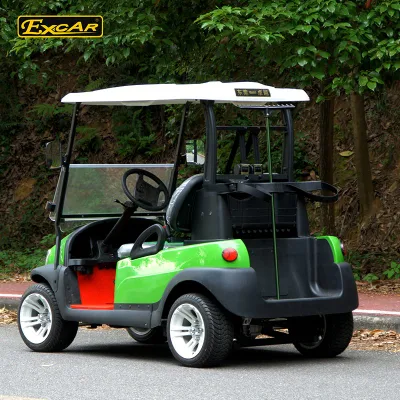 2 Personas nuevo carrito de golf Mini Eléctrico