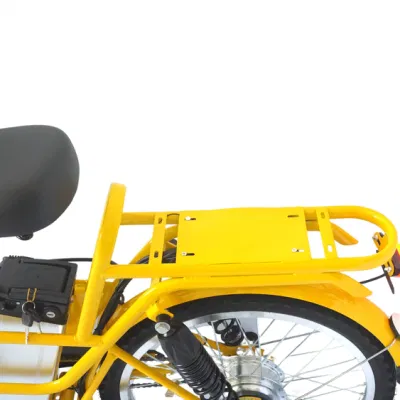 China Factory Custom-Made vehículo eléctrico Clásico de dos ruedas para mujeres mayores Bicicleta eléctrica