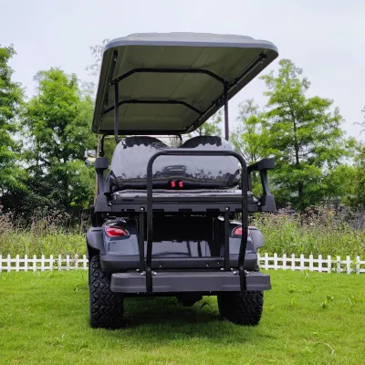 China Fabricación cerrada evolución Golf Cart Caza barato Golf eléctrico Carros