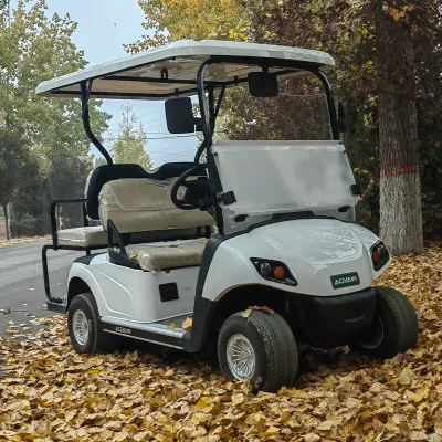 Fabricante China High Quality 4 Wheels Electric Golf Cart con Almacenamiento grande