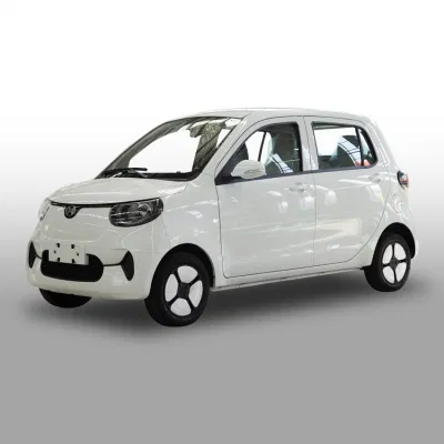 Los Jóvenes Henrey coche eléctrico del vehículo eléctrico de la familia
