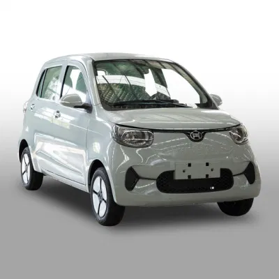 Los Jóvenes Henrey coche eléctrico del vehículo eléctrico de la familia
