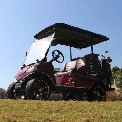 Carrito de Golf de 4 plazas con compartimentos grandes coche eléctrico Rueda de 14 pulgadas