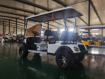 Con 60V Batería Electric Beach Buggy carro de golf eléctrico utilitario