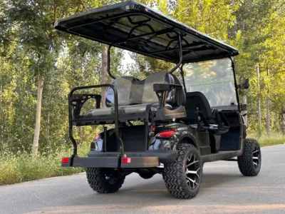 Nuevo producto Mini Golf Cart 48V 60V Custom Electric off Carros de golf para el concesionario