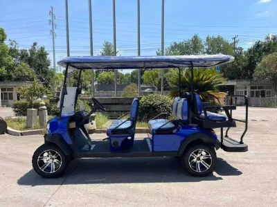 Custom 4 6 8 10 plazas baterías de litio plegable Golf Carritos de golf eléctrico