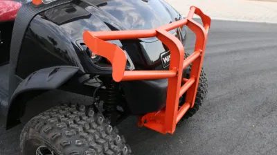 Carrito de Golf de nivel superior de fábrica Niza Precio 72V Eva Sistema de buen beneficio para los Distribuidores