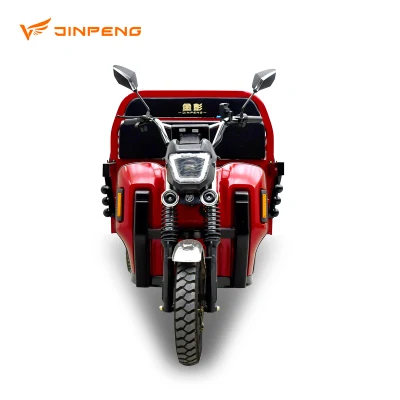 Dls150 PRO China Suministro de Triciclo Eléctrico Nuevos Recursos de Energía Vehículo de Tres Ruedas Cargador Eléctrico de Alta Calidad para Carga Personalización Básica.
