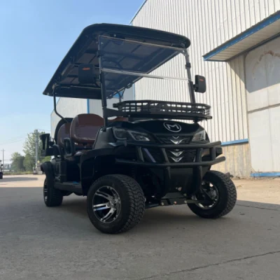 6 navegantes Small Cart Agriculture Factory Transporte Aeropuerto Caza todo Terrain Battery Power Sport Club Car modificado Custom Cool Electric Carrito de Golf Mini Car