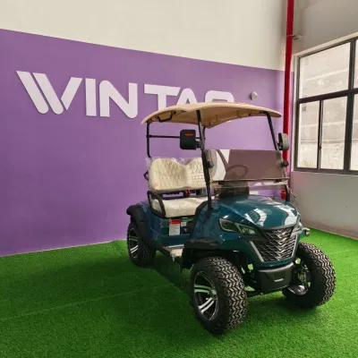Golf de estilo Nuevo 2seater de 5kw 72V E Scooter Golf Carro