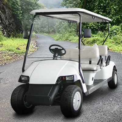 Campo de Golf La mejor oferta off road Lsv Golf Sport Carro rumbo a 30 Km/h clásicos de la costa para la venta de carros de golf eléctrico con un gran espacio de almacenamiento