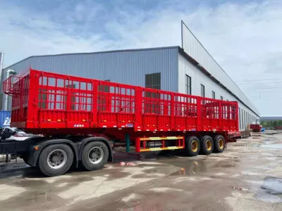 Anton&prime;s Main alquiler de vehículos de transporte, la producción de Tablet PC