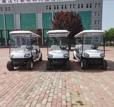Al por mayor LSV Advanced Sport Golf Cart batería operado Golf Carts
